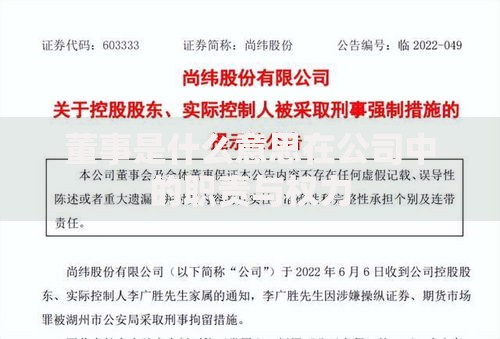 董事是什么意思在公司中的职责与权力