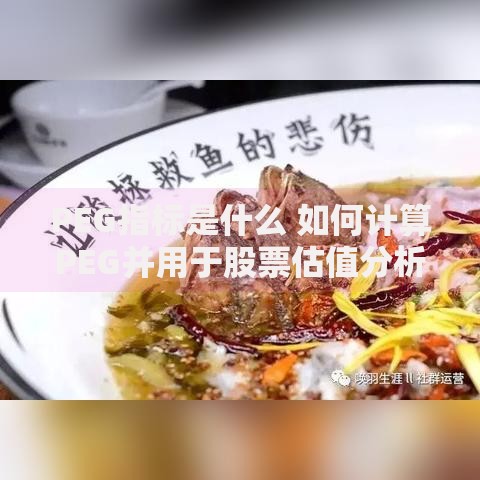 PEG指标是什么 如何计算PEG并用于股票估值分析
