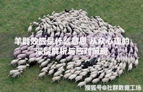 羊群效应是什么意思 从众心理的深层解析与应对策略