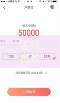 手机贷款软件哪个不看征信记录10月新用户秒下的真不少！本篇为您详细评述这5个黑户借款app！