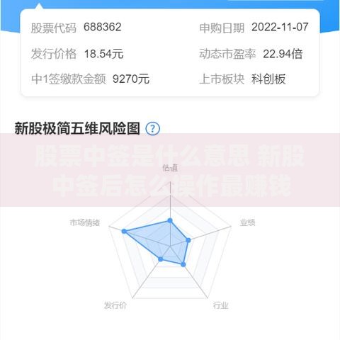 股票中签是什么意思 新股中签后怎么操作最赚钱