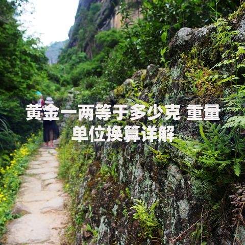 黄金一两等于多少克 重量单位换算详解