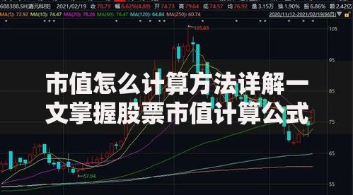 市值怎么计算方法详解一文掌握股票市值计算公式与步骤