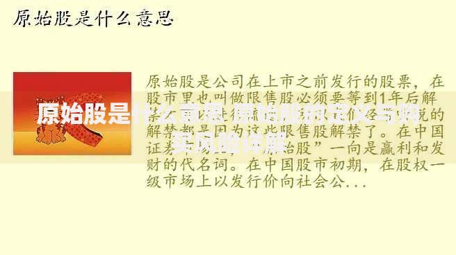 原始股是什么意思 原始股的定义与购买风险详解