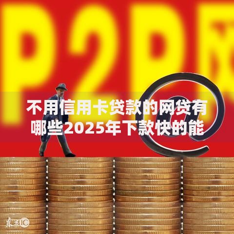 不用信用卡贷款的网贷有哪些2025年下款快的能选择的数量挺多！今天为您深入归集这5个借款平台！