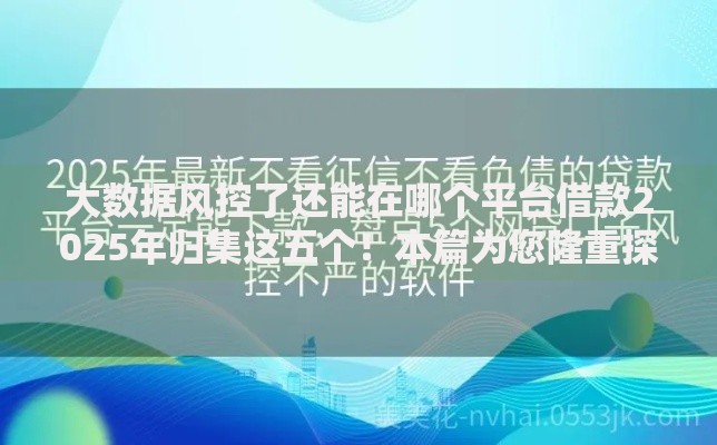 大数据风控了还能在哪个平台借款2025年归集这五个！本篇为您隆重探讨！