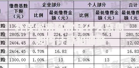社保缴费基数是什么意思 如何计算和调整