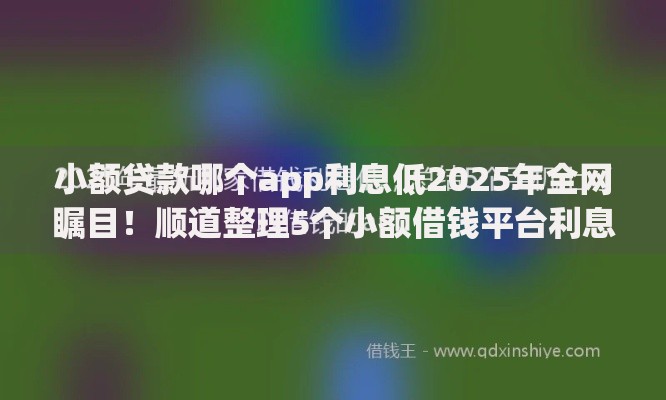 小额贷款哪个app利息低2025年全网瞩目！顺道整理5个小额借钱平台利息低