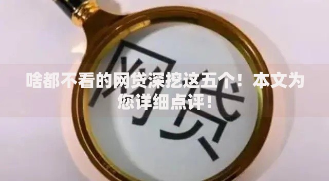 啥都不看的网贷深挖这五个！本文为您详细点评！