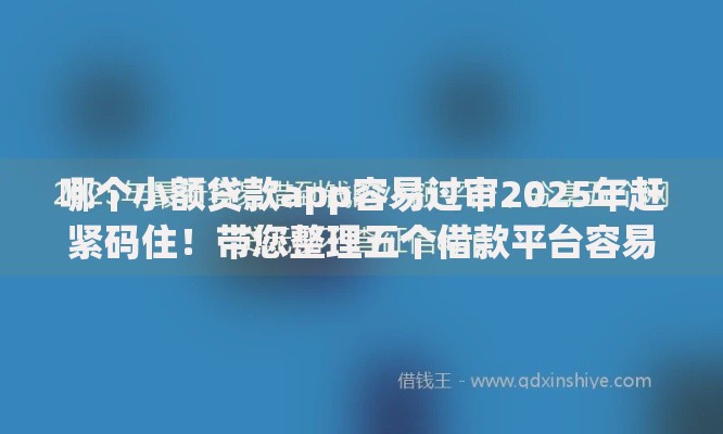 哪个小额贷款app容易过审2025年赶紧码住！带您整理五个借款平台容易过审网贷口子