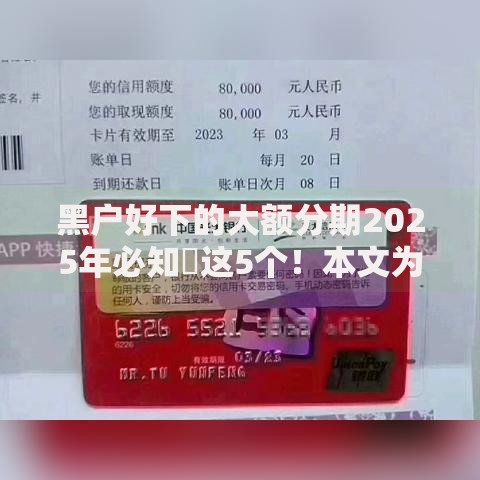 黑户好下的大额分期2025年必知​这5个！本文为您精心展示！