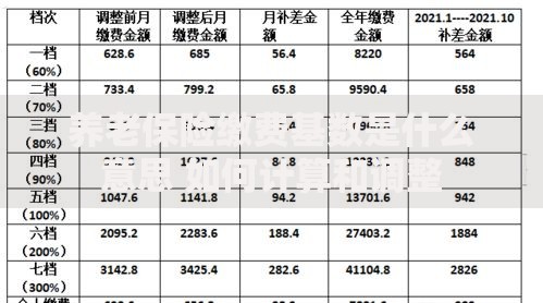 养老保险缴费基数是什么意思 如何计算和调整
