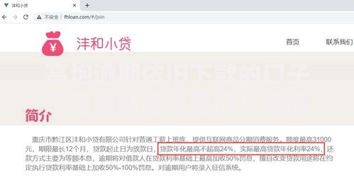 高炮逾期依旧下款的口子本月最新速贷验证！深度汇总网贷逾期依旧放款的平台