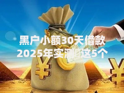黑户小额30天借款2025年实测​这5个！本文为您详细搜罗！