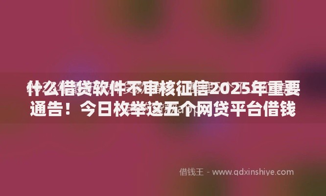 什么借贷软件不审核征信2025年重要通告！今日枚举这五个网贷平台借钱不审核征信
