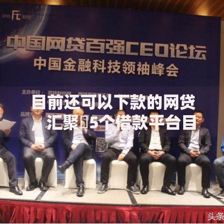目前还可以下款的网贷，汇聚​5个借款平台目前还可以借钱