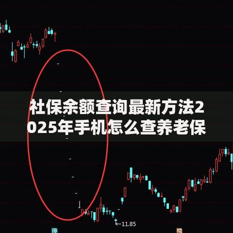 社保余额查询最新方法2025年手机怎么查养老保险个人账户余额