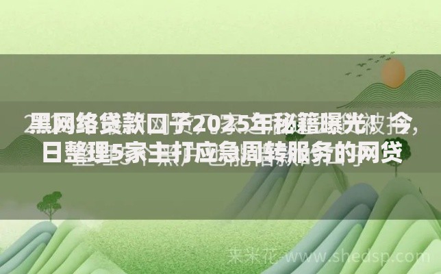 黑网络贷款口子2025年秘籍曝光！今日整理5家主打应急周转服务的网贷平台