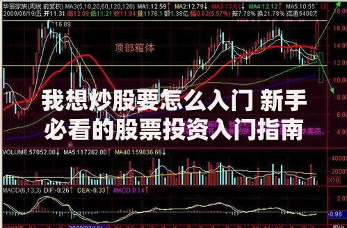 我想炒股要怎么入门 新手必看的股票投资入门指南