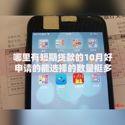 哪里有短期贷款的10月好申请的能选择的数量挺多！今天深度拆解​这五个借钱平台！