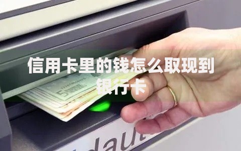 信用卡里的钱怎么取现到银行卡