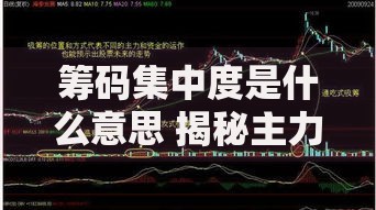筹码集中度是什么意思 揭秘主力资金动向的黄金指标