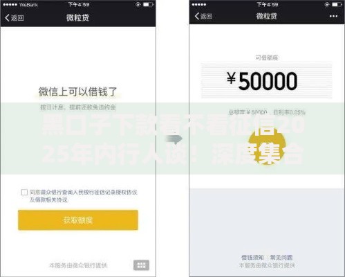 黑口子下款看不看征信2025年内行人谈！深度集合趣信周付宝以及榕桔商城等五个借钱平台