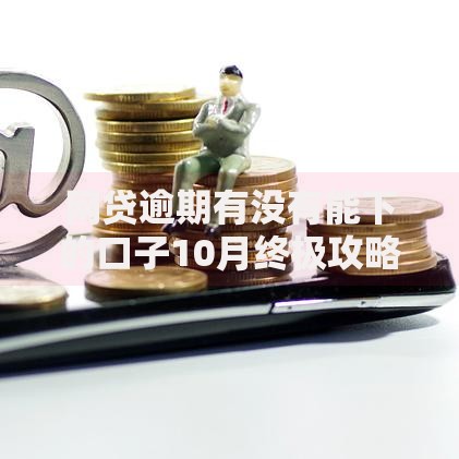 网贷逾期有没有能下的口子10月终极攻略！隆重陈列5个贷款逾期平台能借的钱
