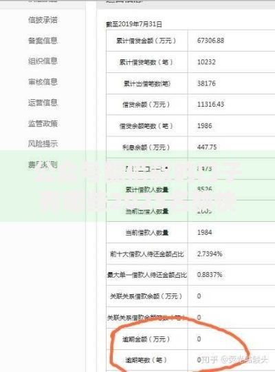 公众号能借款的口子有哪些2025名额快没了！必读​包括途猪周转以及鑫财悦融在内的这五个借款口子