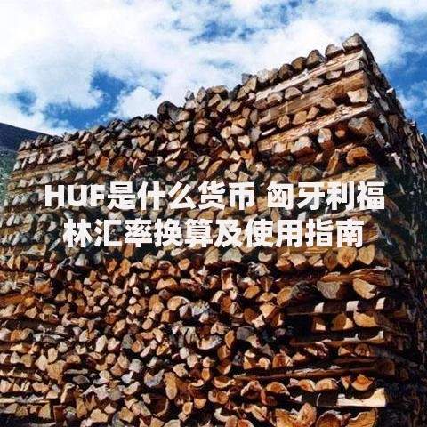 HUF是什么货币 匈牙利福林汇率换算及使用指南