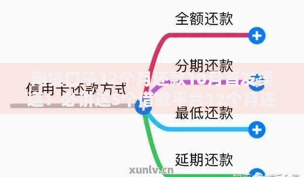 网贷口子12个月还款10月首发渠道！必讲这5个借款平台12个月还款方式