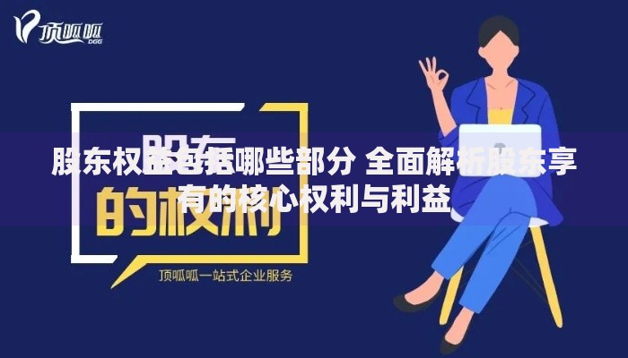 股东权益包括哪些部分 全面解析股东享有的核心权利与利益