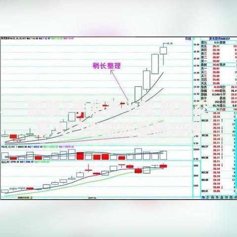 股票1手是多少股 股票交易入门必知的基础知识
