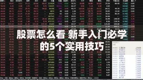 股票怎么看 新手入门必学的5个实用技巧
