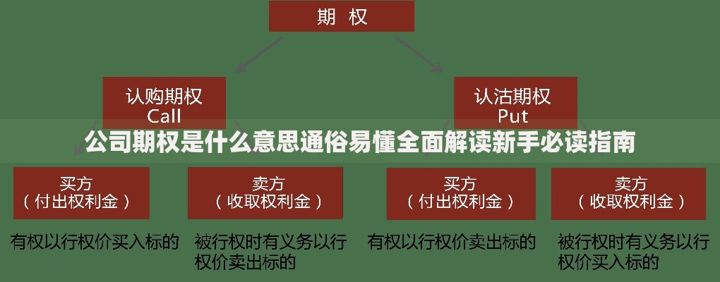公司期权是什么意思通俗易懂全面解读新手必读指南