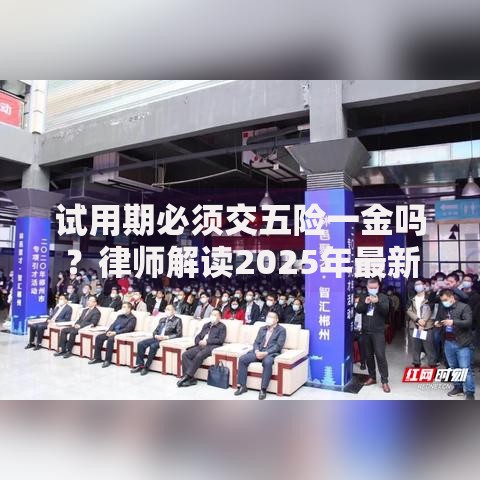 试用期必须交五险一金吗？律师解读2025年最新规定