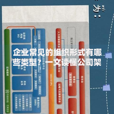 企业常见的组织形式有哪些类型？一文读懂公司架构选择指南