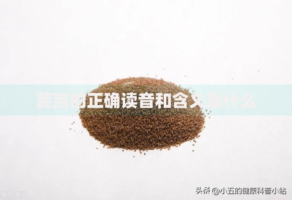芪苈的正确读音和含义是什么