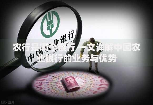 农行是哪个银行 一文详解中国农业银行的业务与优势