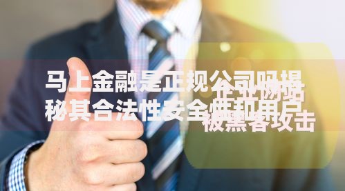 马上金融是正规公司吗揭秘其合法性安全性和用户评价
