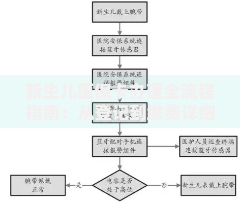 新生儿医保卡办理全流程指南：从登记到缴费详细步骤