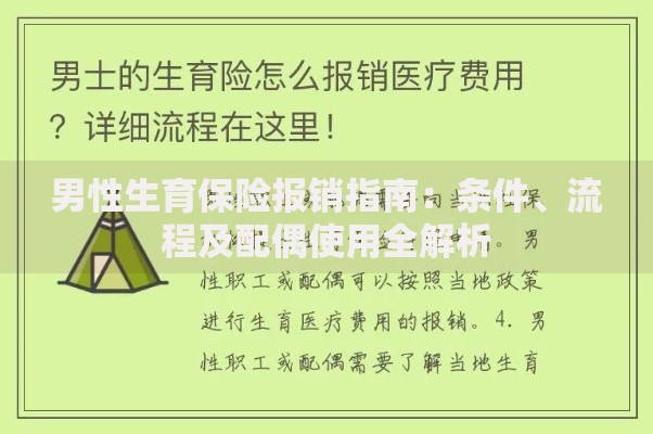 男性生育保险报销指南：条件、流程及配偶使用全解析