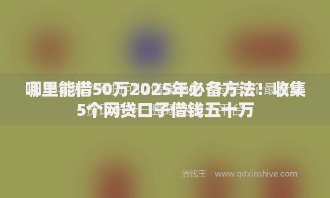哪里能借50万2025年必备方法！收集5个网贷口子借钱五十万