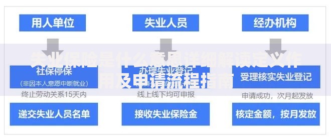 失业保险是什么意思详细解读定义作用及申请流程指南