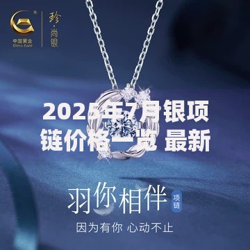 2025年7月银项链价格一览 最新银饰市场价格走势及选购指南