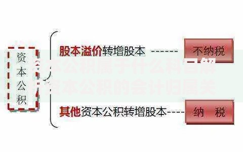 资本公积属于什么科目解析资本公积的会计归属关键知识点