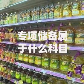 专项储备属于什么科目在会计处理中如何分类和应用