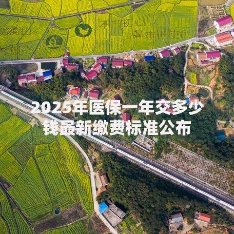2025年医保一年交多少钱最新缴费标准公布