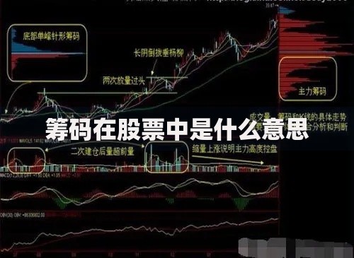 筹码在股票中是什么意思