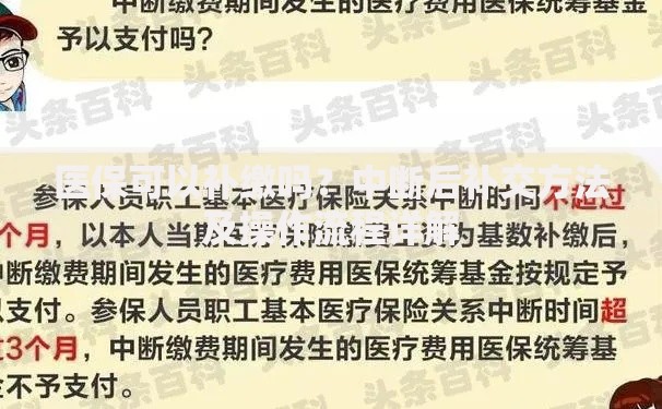 医保可以补缴吗？中断后补交方法及操作流程详解